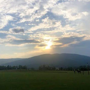 Meet your Posher, Louisa